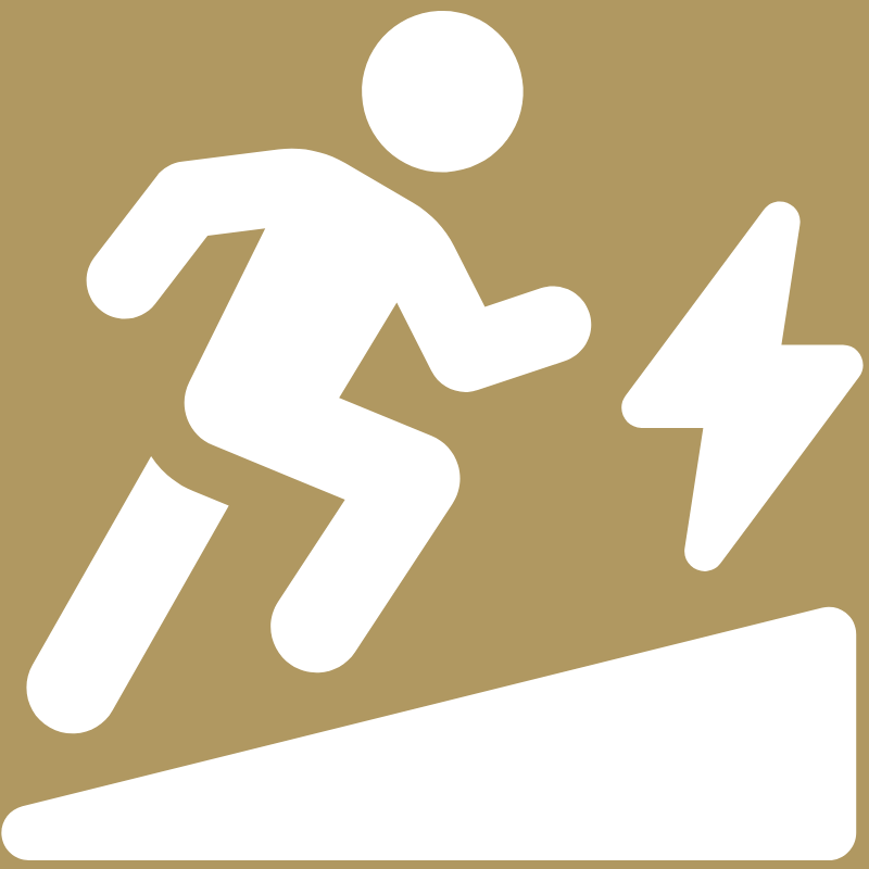 Great Primate Performance